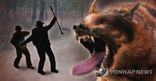 This file image illustrates a dog's attack on humans. (Yonhap)