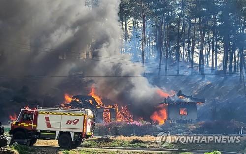 Una casa y una colina cercana en Gangneung, noreste de Corea del Sur, están envueltas en llamas el 11 de abril de 2023, en medio de fuertes vientos y advertencias de clima seco para las áreas de la costa este.  (Yonhap)