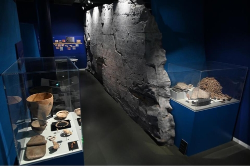 La reproduction grandeur nature de la roche Bangudae exposée au muséum d'histoire naturelle de La Rochelle. (Photo fournie par le musée des pétroglyphes d'Ulsan) 