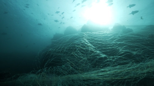 Samsung Va Recycler Des Filets De Pêche Abandonnés Pour Les Appareils