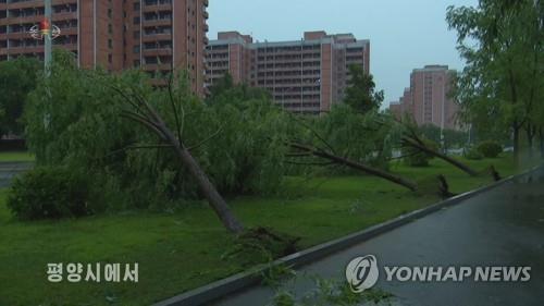 Cette image, publiée par la Télévision centrale nord-coréenne (KCTV) le dimanche 26 juin 2022, montre des arbres couchés suite à des pluies diluviennes et des vents forts à Pyongyang. (Utilisation en Corée du Sud uniquement. Redistribution interdite)