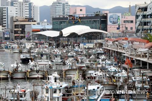 Des bâteaux de pêche sont amarrés dans un port à Pohang, à 374 km au sud-est de Séoul, à l'approche du super typhon Hinnamnor, le 1er septembre 2022.
