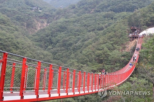 ［写真］韓国最長　山中につり橋完成