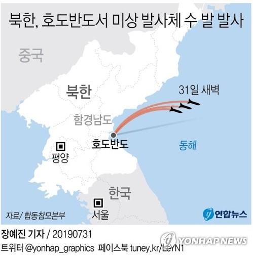 韓国軍当局は３１日、北朝鮮が同日未明に東部の虎島半島付近から未詳の飛翔体を数発発射したと発表した＝（聯合ニュース）
