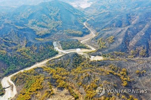 山火事の焼け跡＝７日、蔚珍（聯合ニュース）