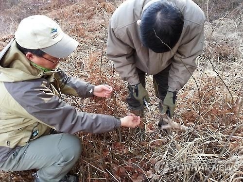 영산강유역환경청 야생동물 사냥도구 수거 - 2