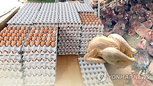 큰 폭으로 오른 계란과 닭고기 [연합뉴스 자료사진]