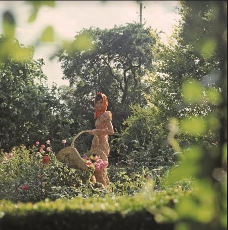 1971년 라 페지블 정원에 선 오드리 헵번