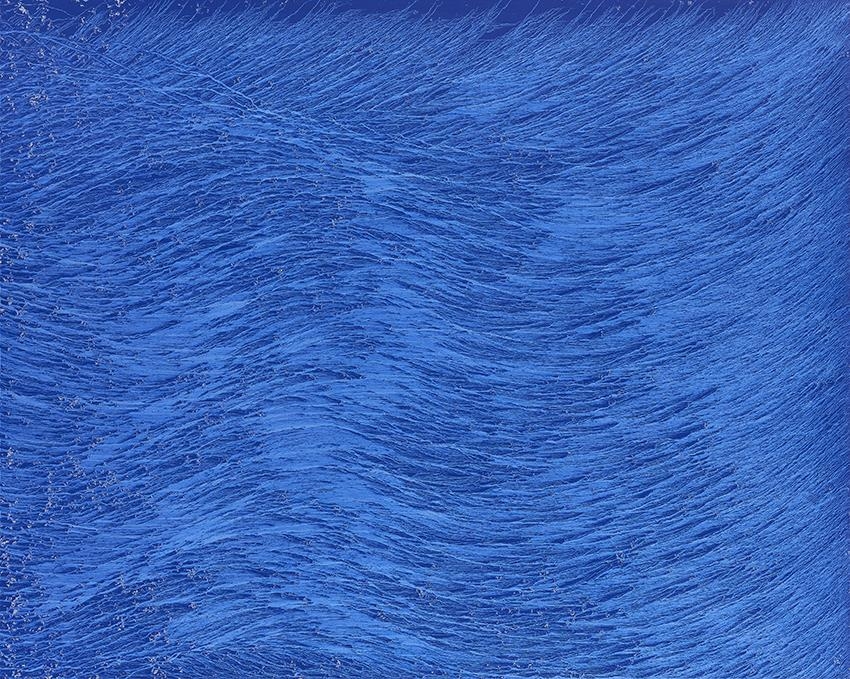 채성필, histoire de bleu, 캔버스에 천연 안료, 160×200cm, 2018