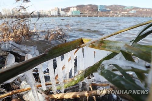 "첫 한파 세네"…최저 영하 20.4도에 칼바람까지 '전국 꽁꽁'(종합)