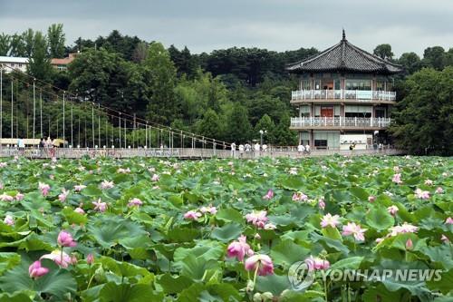 전주 덕진공원에 아이들 '뛰고 놀 공간' 조성