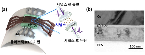 '멤리스터 활용' 뇌 닮은 뉴로모픽 칩 구현 잰걸음