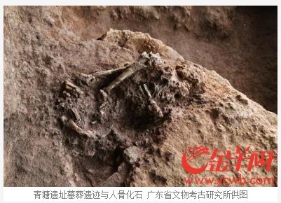 칭탕유적지에서 발굴된 사람뼈 화석