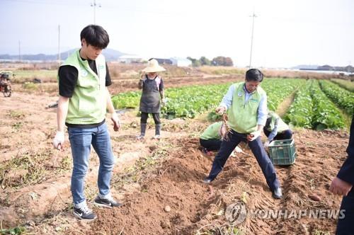 산지에서 재배 판매