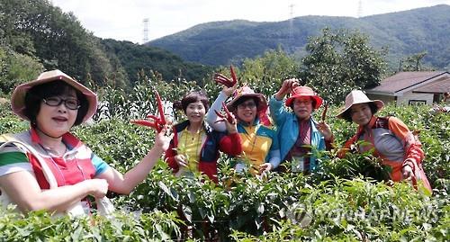 '전남에서 먼저 살아보기' 농촌형 프로그램 인기