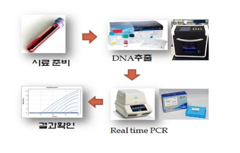 아프리카돼지열병 유전자 진단법(항원 검사) 절차