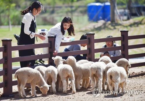 영월 펫힐링 달빛동물원 '인기'…한 달 만에 1만 돌파