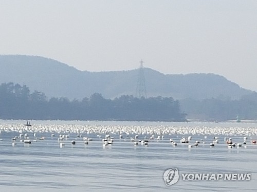 경남 통영 앞바다 양식장 스티로폼 부이