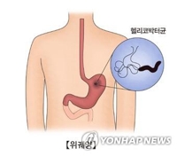 "위암환자 가족, 헬리코박터 제균하면 위암 위험 55%↓"