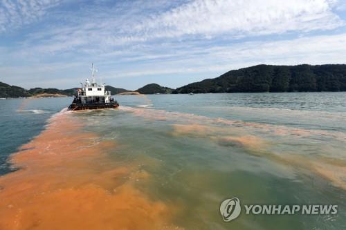 적조 대비 황토살포