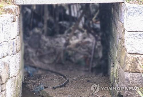 월북한 탈북민 김씨가 빠져나간 것으로 추정되는 배수로