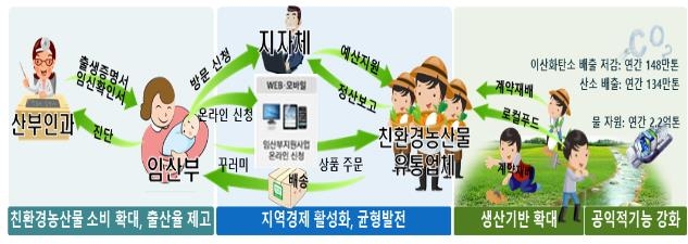 임산부 친환경 농산물 지원 시범사업