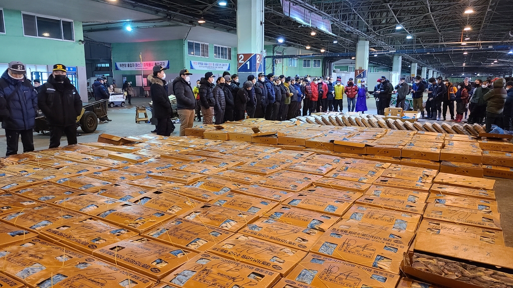부산공동어시장 위판 현장