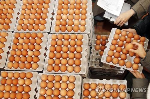 매장에 진열된 달걀
