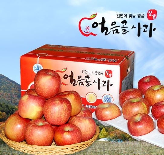 밀양 얼음골 사과
