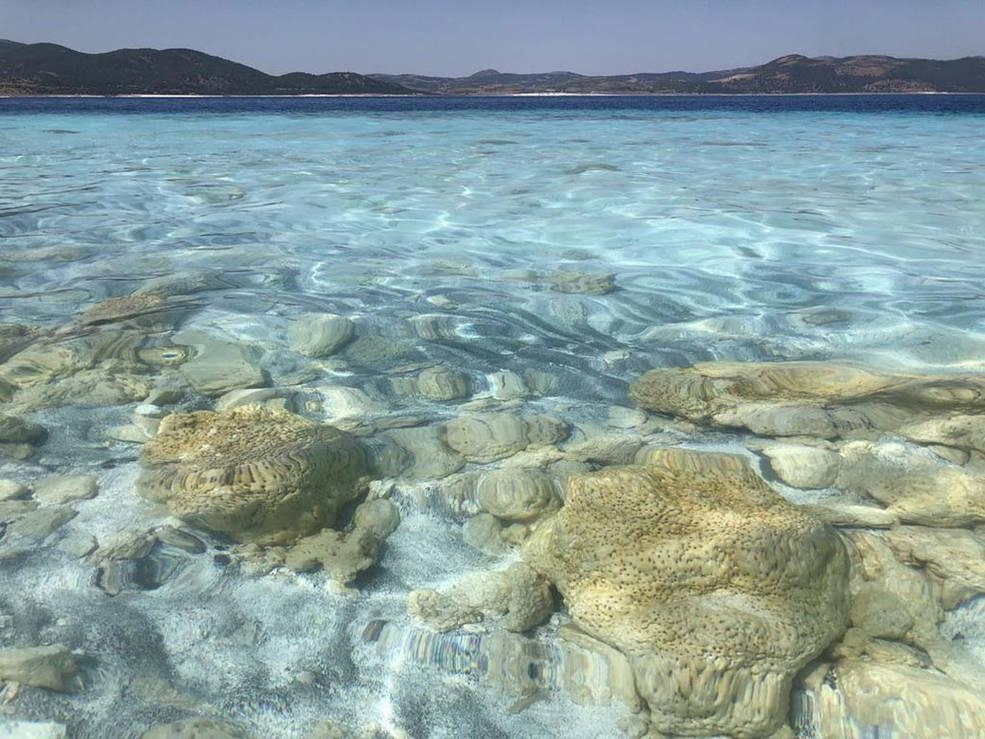 고대 미생물이 광물과 퇴적물에 갇혀 형성한 터키 살다 호수의 암석