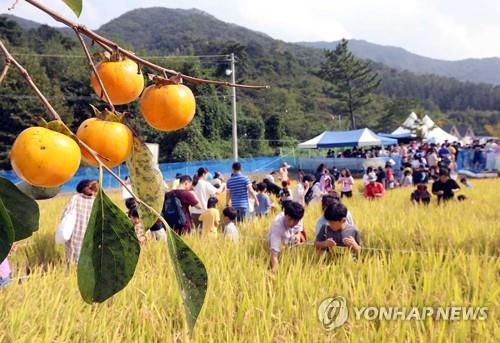 완주 와일드푸드 축제 