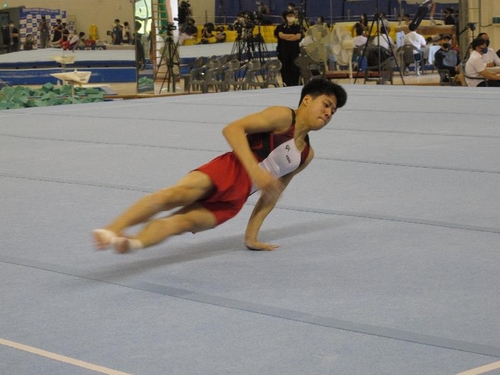 '19세' 류성현, 체조 선발전 1위로 도쿄올림픽 태극마크