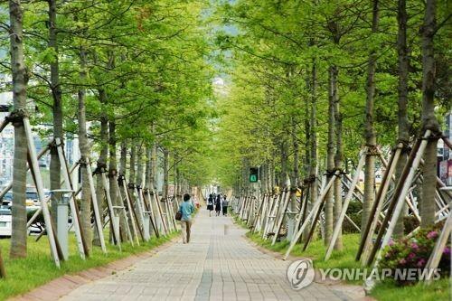 전북도 올해 220억 들여 '도시숲' 조성…미세먼지 저감 기대
