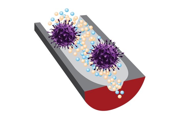 새로운 DNA 센서는 선택성 DNA 조각과 민감한 나노구멍(nanopore) 기술을 이용, 전염성이 있는 바이러스와 전염성이 없는 바이러스를 구별한다. [Ana Peinetti 제공. 재판매 및 DB 금지}