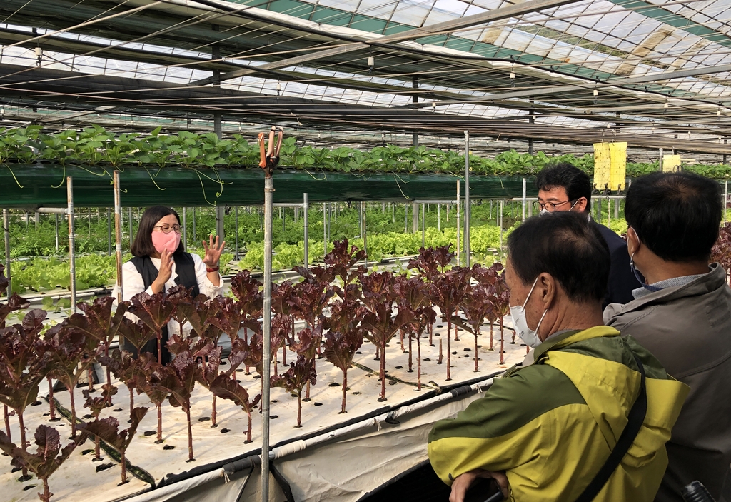 순환식 자동분무 수경재배 설명