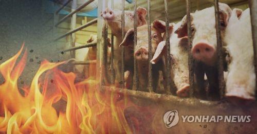 충북 괴산 돼지농장서 불…450마리 폐사