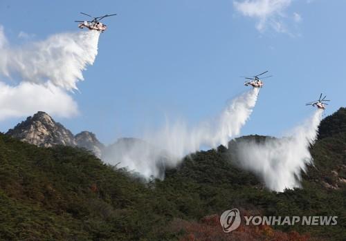 최근 2년간 산불 피해 경북이 가장 커…안동·예천 대형산불 탓