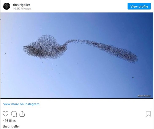 설탕이 가득 든 숟가락 모양으로 비행하는 새 떼를 찍은 사진