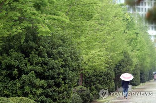 대구·경북 흐리고 비…동해안 강한 바람