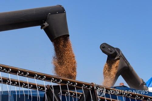 [우크라 침공] FAO "곡물 2천500만t 수출길 막혀…인프라 부족"
