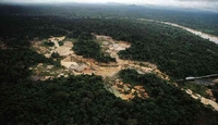 아마존 지역 불법 금광개발 조직 적발…2년간 500억원대 반출