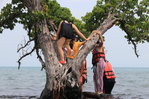 초미니 섬의 '유일무이'한 나무 위로 올라가고 있는 관광객들. 