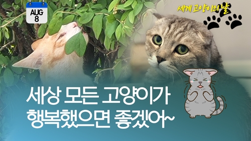 [오늘은] "야옹∼, 요물 아니다냥…행복하게 살고 싶을뿐"