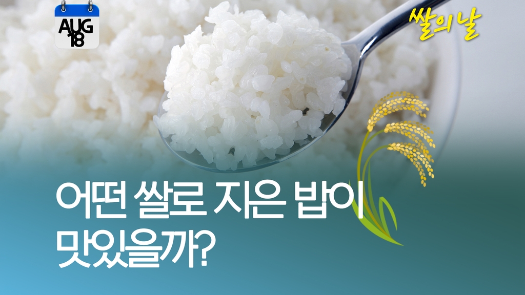 [오늘은] "식사를 합시다!" 어떤 쌀로 지은 밥이 맛있을까? - 1