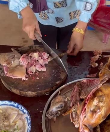 야생 동물로 요리를 만들고 있는 캄보디아인