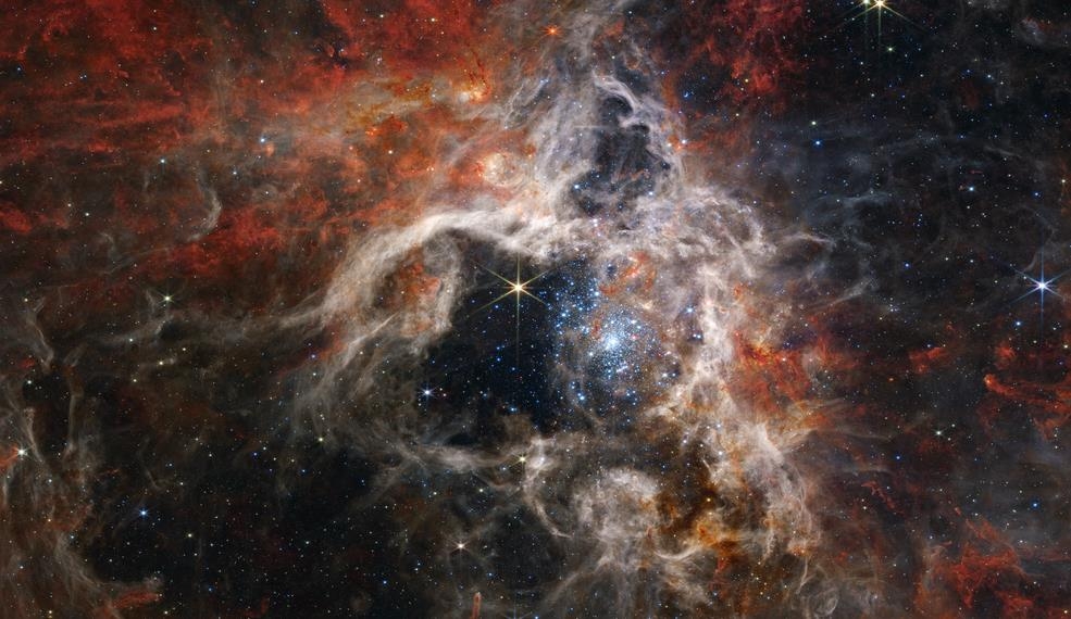 The Webb telescope finds tens of thousands of young stars within a cosmic tarantula