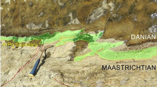 진동으로 인한 K-Pg 경계층(녹색부위) 변형을 보여주는 지층