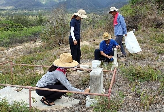 한인 선조 무연고 묘지 벌초하는 마우이한인회