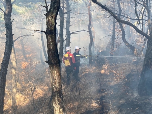 전남서 산불 잇달아…산림 당국 "가해자 처벌"(종합)