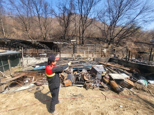 [르포] "돌아서면 또…, 제발 불 놓지 마세요" 산불감시원의 호소